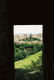 Rys 19: szkoc26.JPG 335 x 500 [26199 bajt�w]