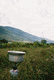 Rys 25: szkoc6.JPG 335 x 500 [37091 bajt�w]