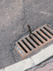 Rys 3: ludek3.jpg 338 x 450 [41924 bajt�w]