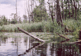 Rys 11: krut16.jpg 713 x 494 [162636 bajt�w]