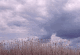 Rys 19: krut26.jpg 713 x 494 [79477 bajt�w]