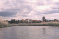Rys 27: krut37.jpg 713 x 477 [94510 bajt�w]
