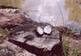 Rys 1: krut6.jpg 713 x 494 [110215 bajt�w]