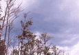 Rys 4: krut9.jpg 713 x 494 [127525 bajt�w]