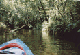 Rys 5: tanew13.jpg 700 x 479 [75487 bajt�w]