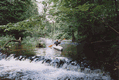 Rys 10: tanew15.jpg 700 x 472 [80769 bajt�w]