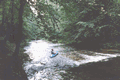 Rys 11: tanew16.jpg 700 x 466 [59910 bajt�w]