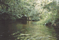 Rys 4: tanew19.jpg 700 x 470 [69813 bajt�w]