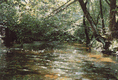 Rys 2: tanew9.jpg 700 x 476 [109163 bajt�w]
