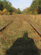 Rys 31: uhr19.jpg 375 x 500 [39785 bajt�w]