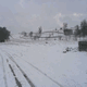 Rys 3: zw11.jpg 500 x 375 [19120 bajt�w]