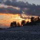 Rys 11: zw25.jpg 500 x 375 [24604 bajt�w]