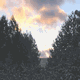 Rys 13: zw27.jpg 500 x 375 [26999 bajt�w]