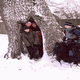 Rys 53: zw55.jpg 309 x 500 [32622 bajt�w]