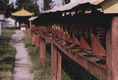Rys 9: bajk18.jpg [29150 bajt�w]