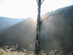 Rys 18: bajk33.jpg [26101 bajt�w]
